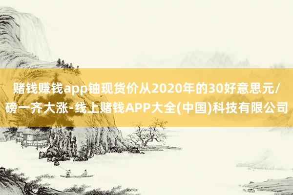 赌钱赚钱app铀现货价从2020年的30好意思元/磅一齐大涨-线上赌钱APP大全(中国)科技有限公司