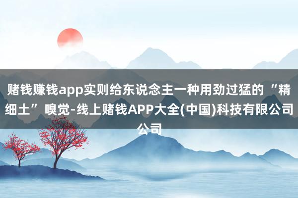 赌钱赚钱app实则给东说念主一种用劲过猛的 “精细土” 嗅觉-线上赌钱APP大全(中国)科技有限公司