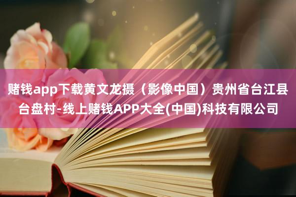 赌钱app下载黄文龙摄(影像中国)贵州省台江县台盘村-线上赌钱APP大全(中国)科技有限公司