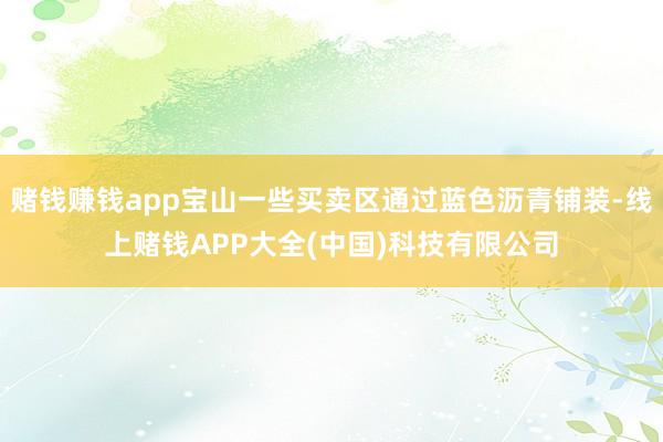 赌钱赚钱app宝山一些买卖区通过蓝色沥青铺装-线上赌钱APP大全(中国)科技有限公司